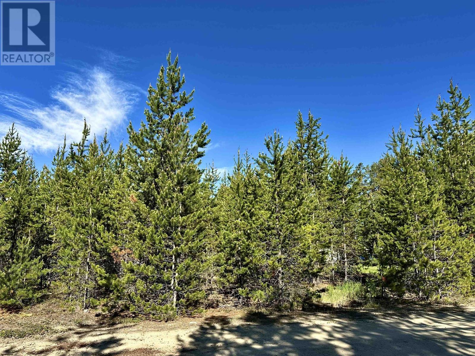 1923 CRANBERRY PLACE, Valemount