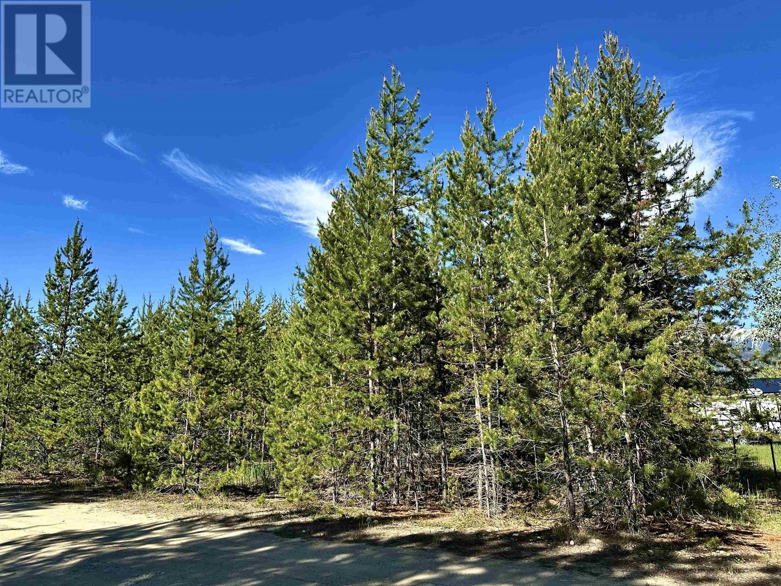 1923 CRANBERRY PLACE, Valemount