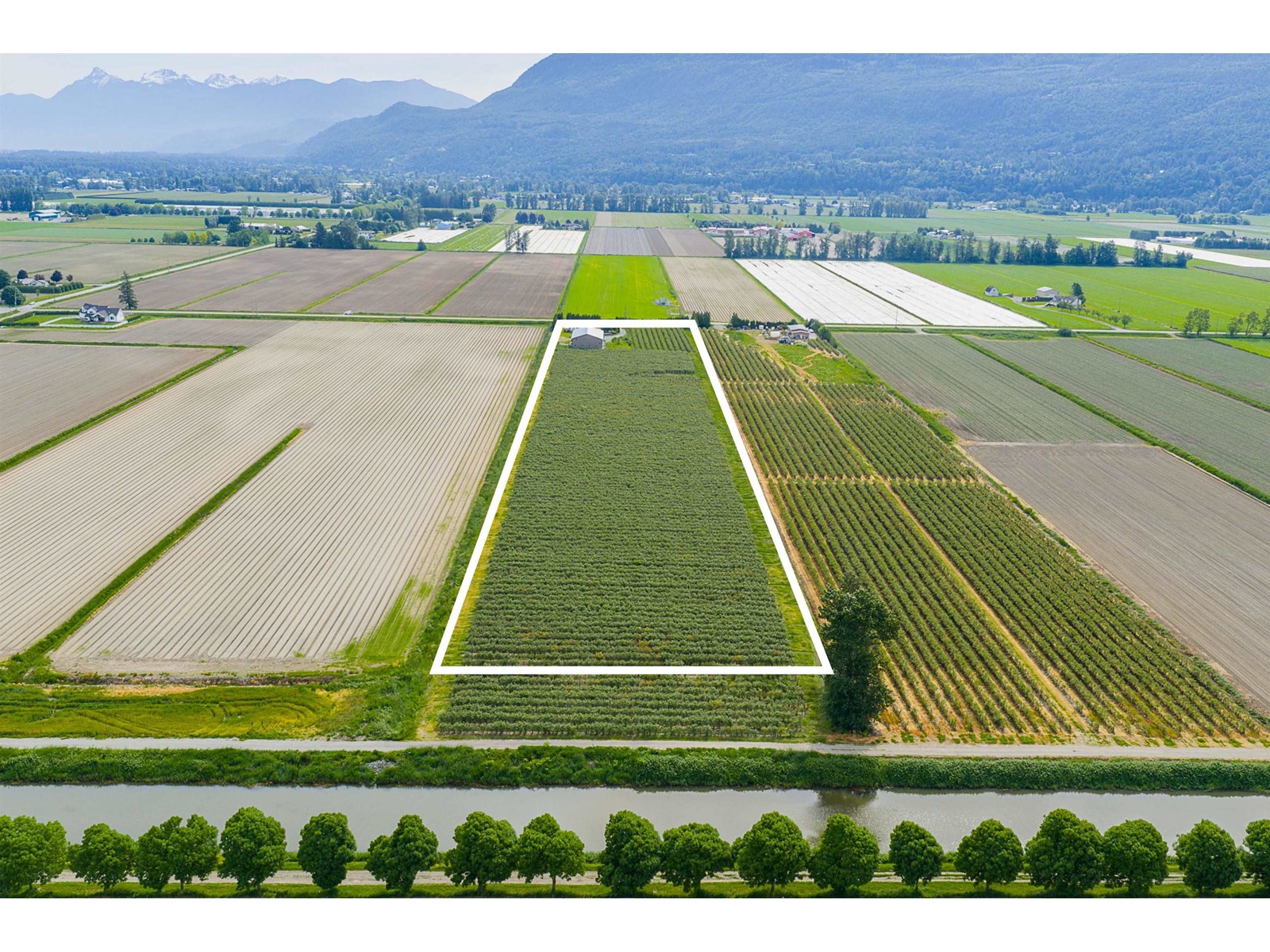 Photo 6 of 3815 Interprovincial Highway, Abbotsford BC
