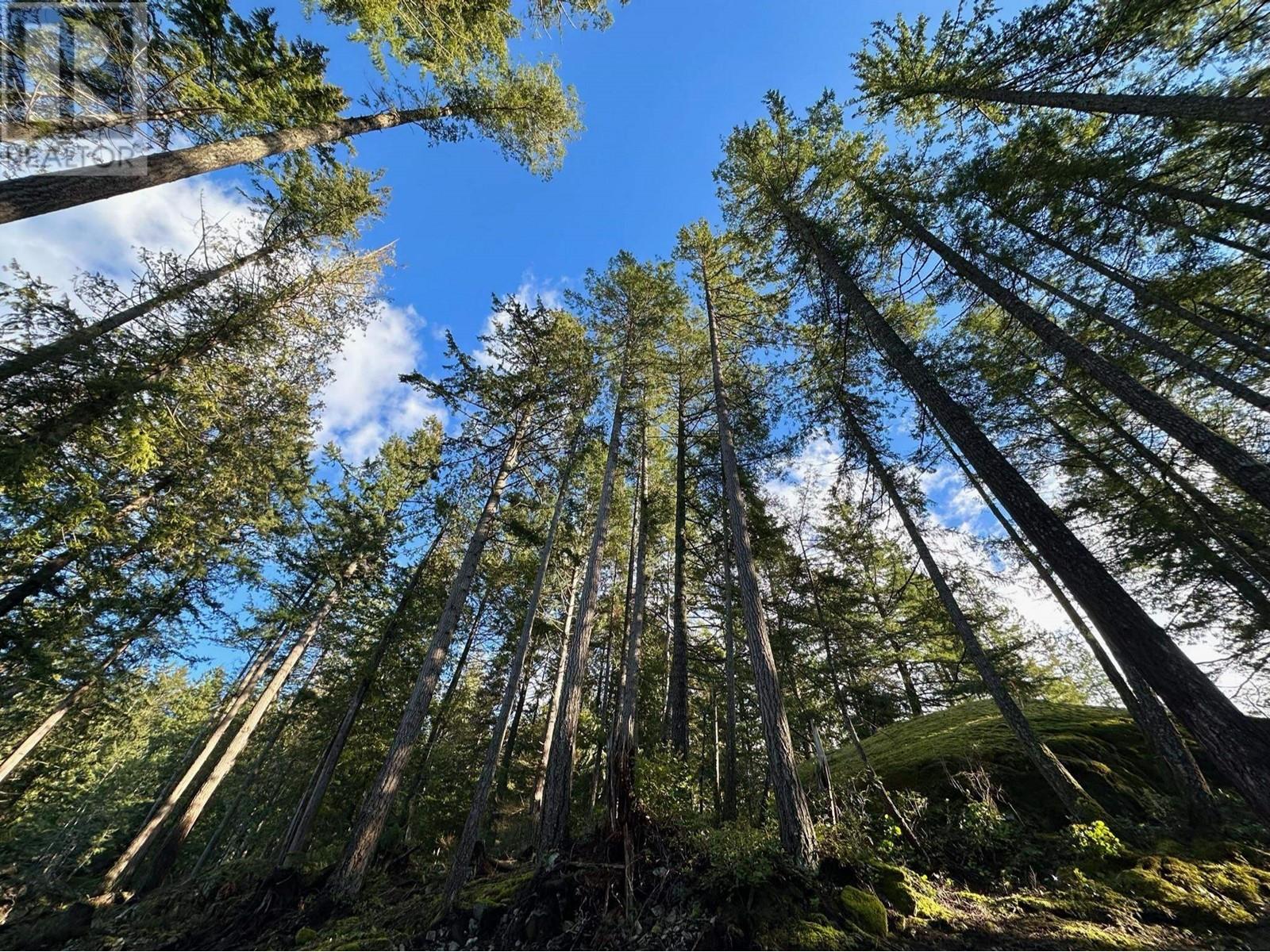 Photo 9 of 831 Windjammer Road, Bowen Island BC