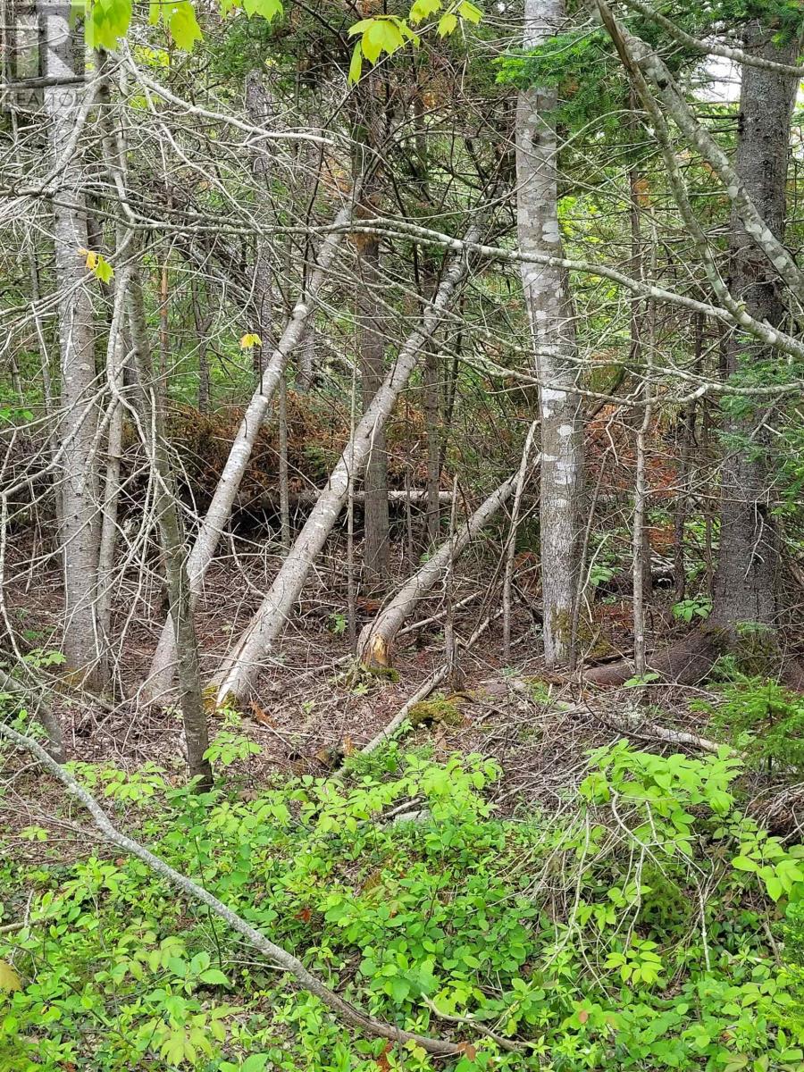 Property 7 of 8 of Lot 2 Tattrie Settlement Road