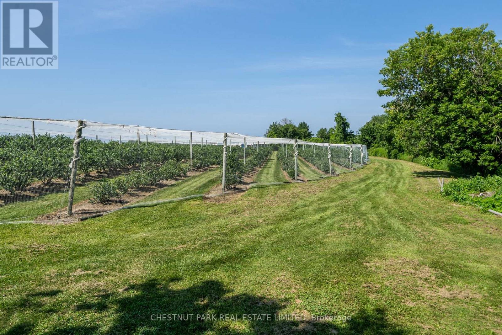 Photo 22 of Between 15 51 County Rd 38 Road, Prince Edward County ON