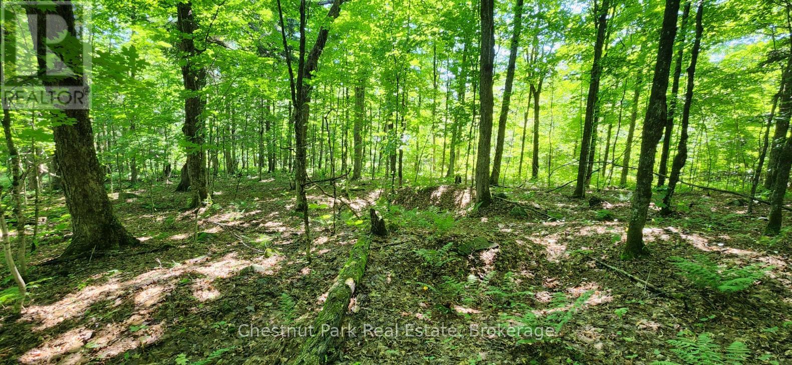 Photo 9 of 0 Skyline Drive, Armour ON