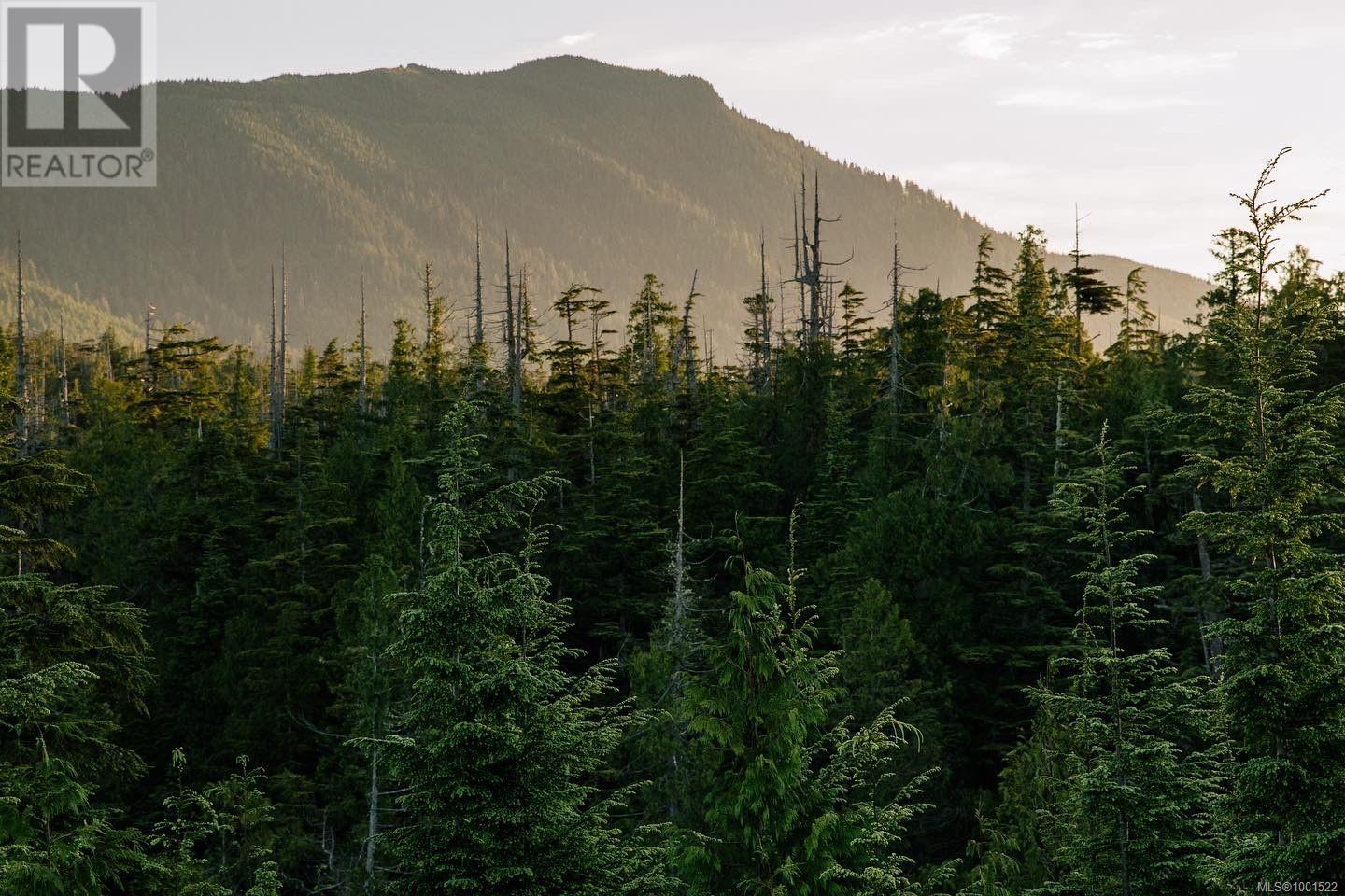 LOT 11 Hawkes Road - photo 2