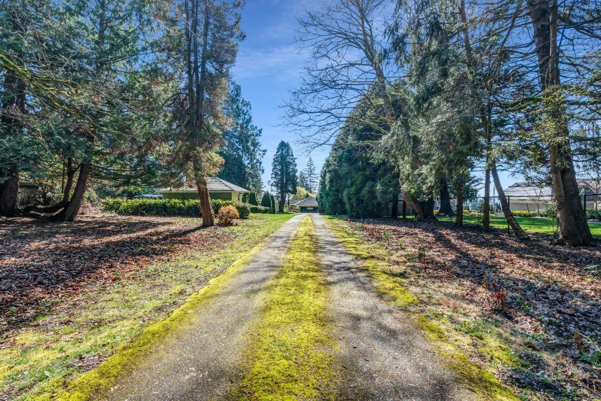 13706 MARINE DRIVE, White Rock real estate listing R2952897