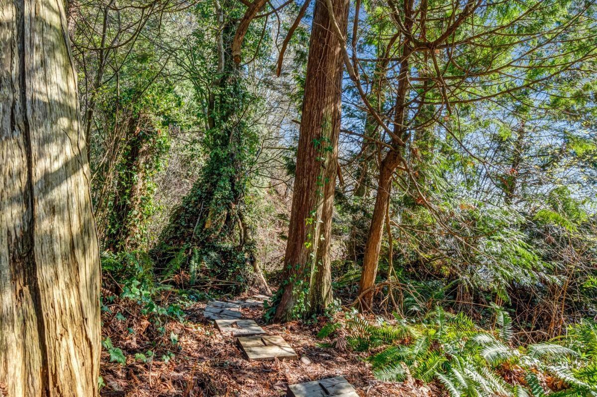 13706 MARINE DRIVE, White Rock real estate listing R2952897
