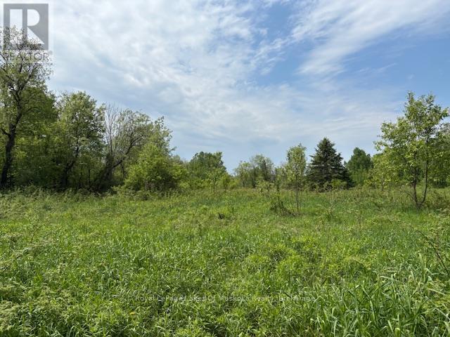 Photo 10 of 351 Ravenscliffe Road, Huntsville ON
