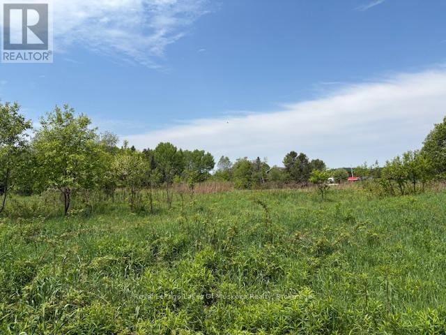 Photo 11 of 351 Ravenscliffe Road, Huntsville ON
