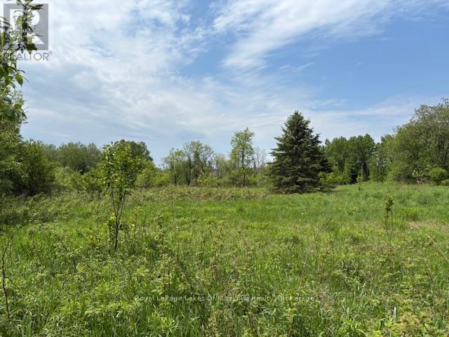 Photo 13 of 351 Ravenscliffe Road, Huntsville ON