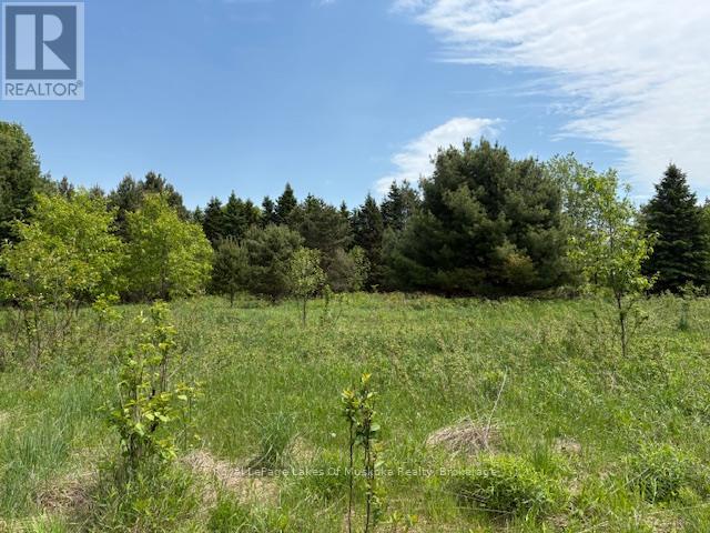 Photo 17 of 351 Ravenscliffe Road, Huntsville ON