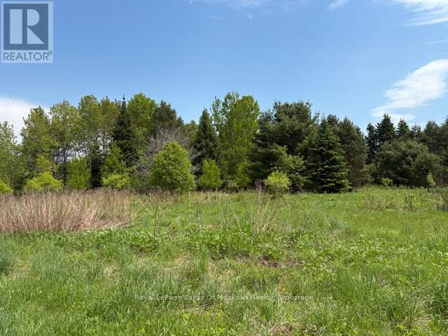 Photo 21 of 351 Ravenscliffe Road, Huntsville ON