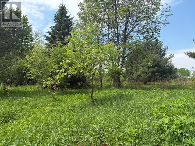 Photo 3 of 351 Ravenscliffe Road, Huntsville ON