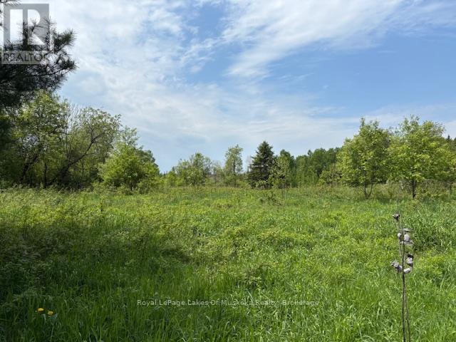Photo 7 of 351 Ravenscliffe Road, Huntsville ON