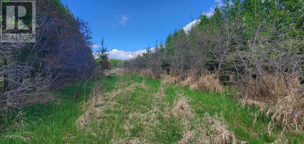 100 Street, Lac La Biche