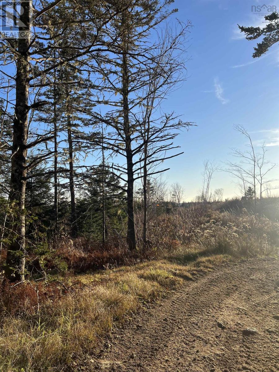 Property 9 of 12 of Lot Small Gains Road