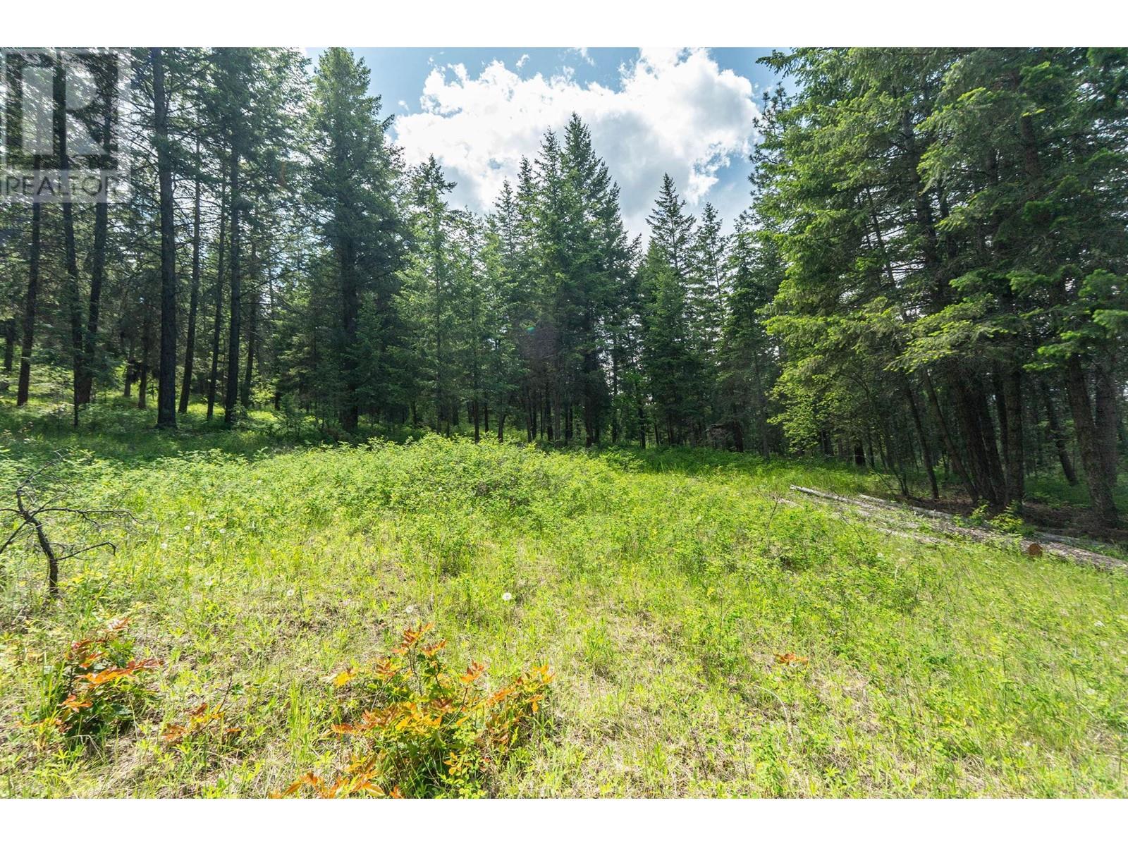  4410A June Springs Road, Kelowna