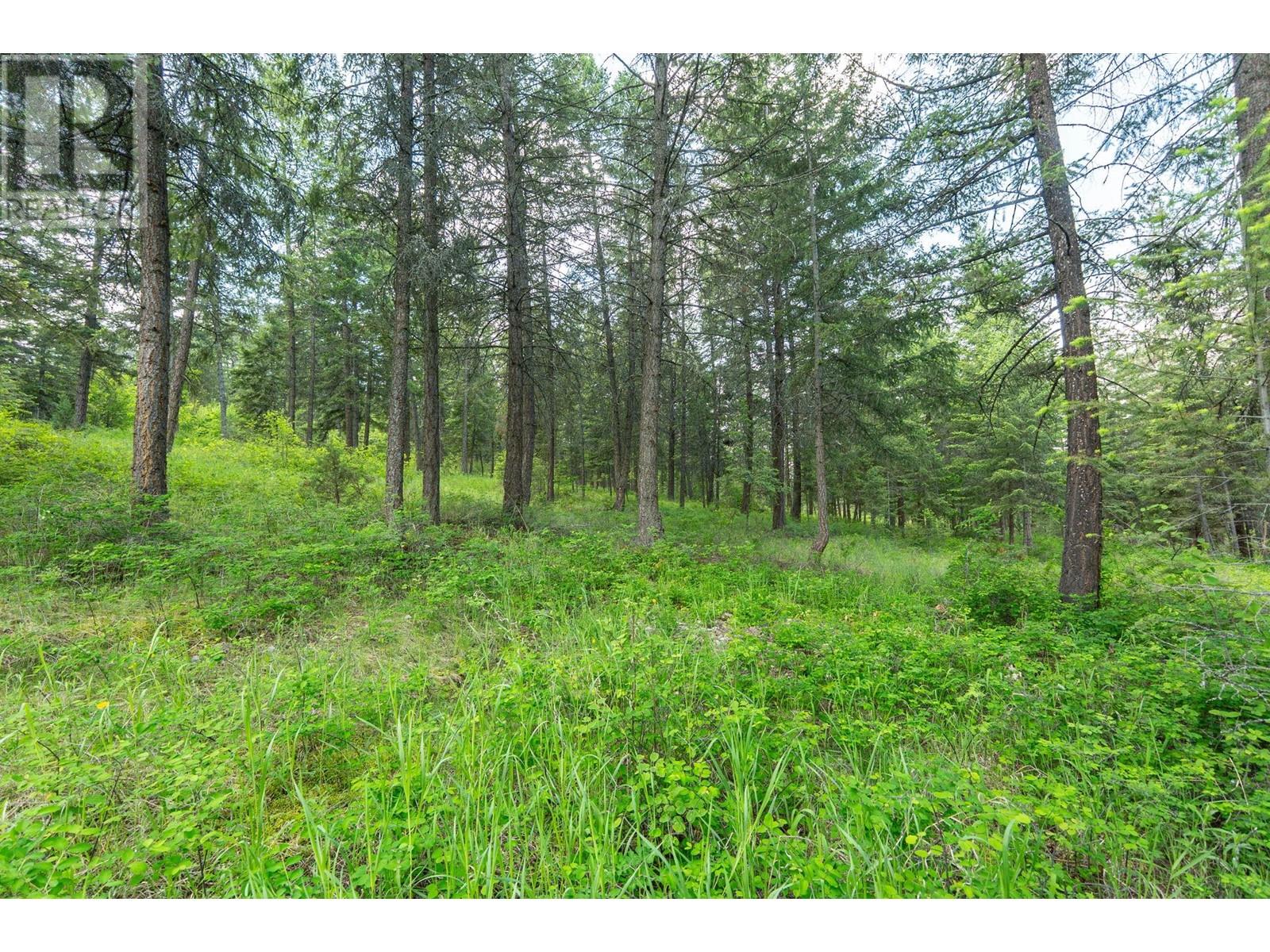  4410A June Springs Road, Kelowna