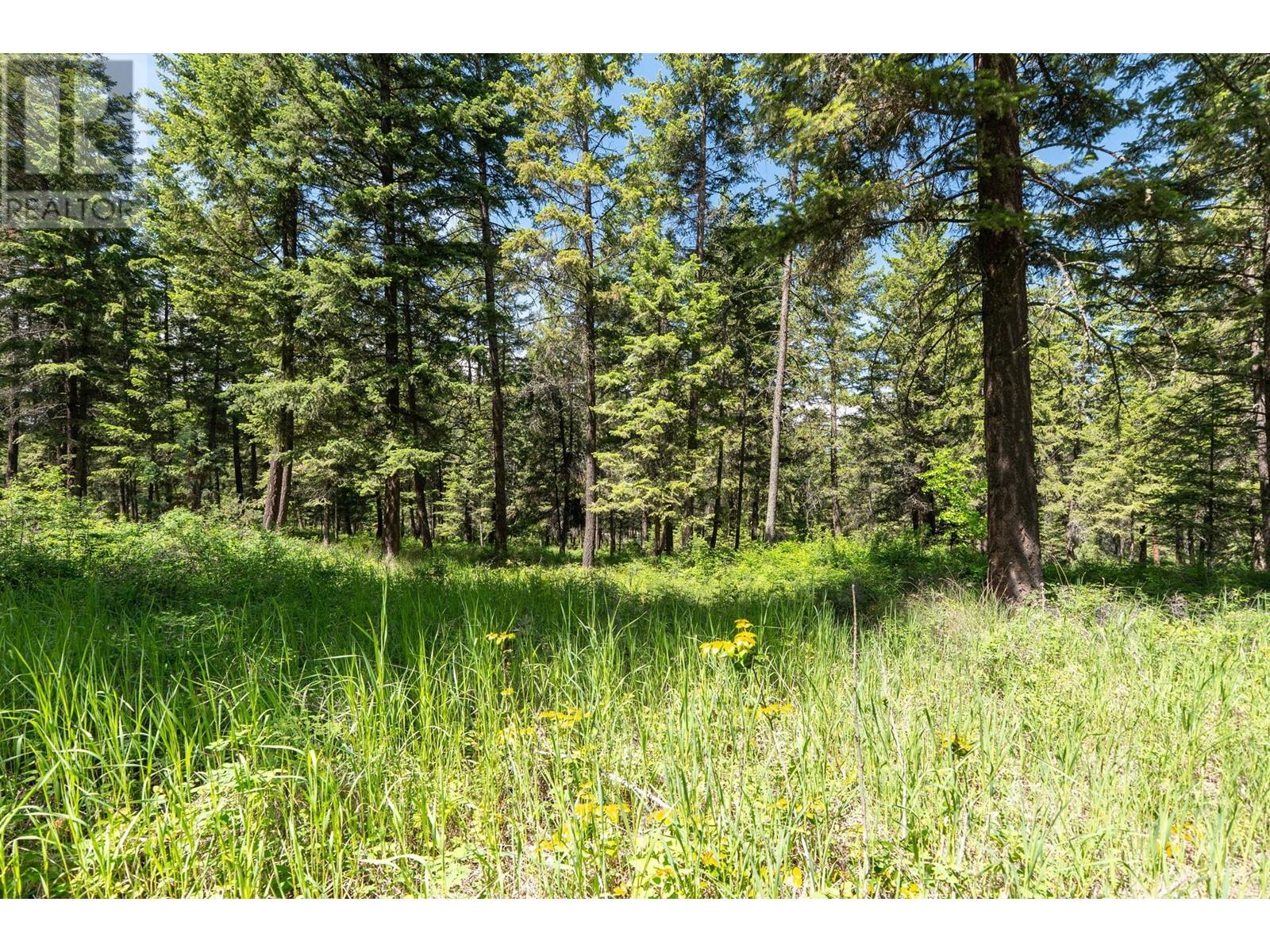  4410A June Springs Road, Kelowna