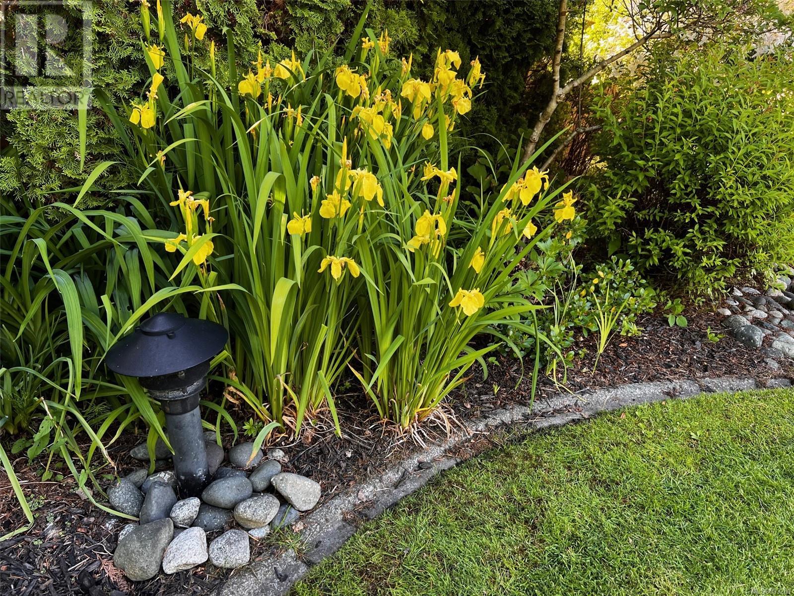 115 Engles Rd, Campbell River real estate listing 993280