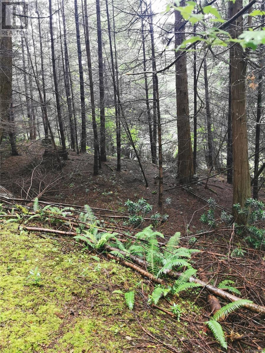  706 Fernhill Road, Mayne Island