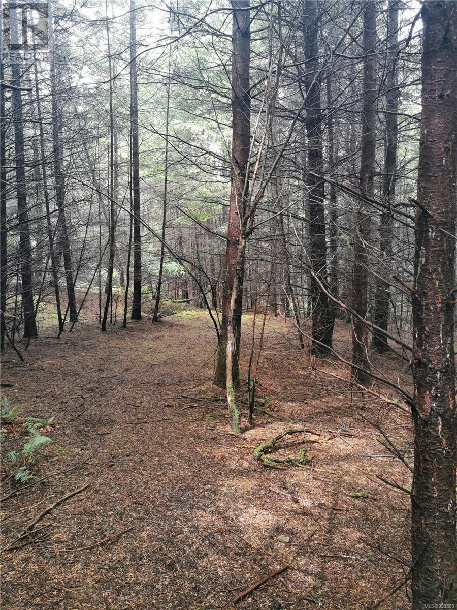  706 Fernhill Road, Mayne Island