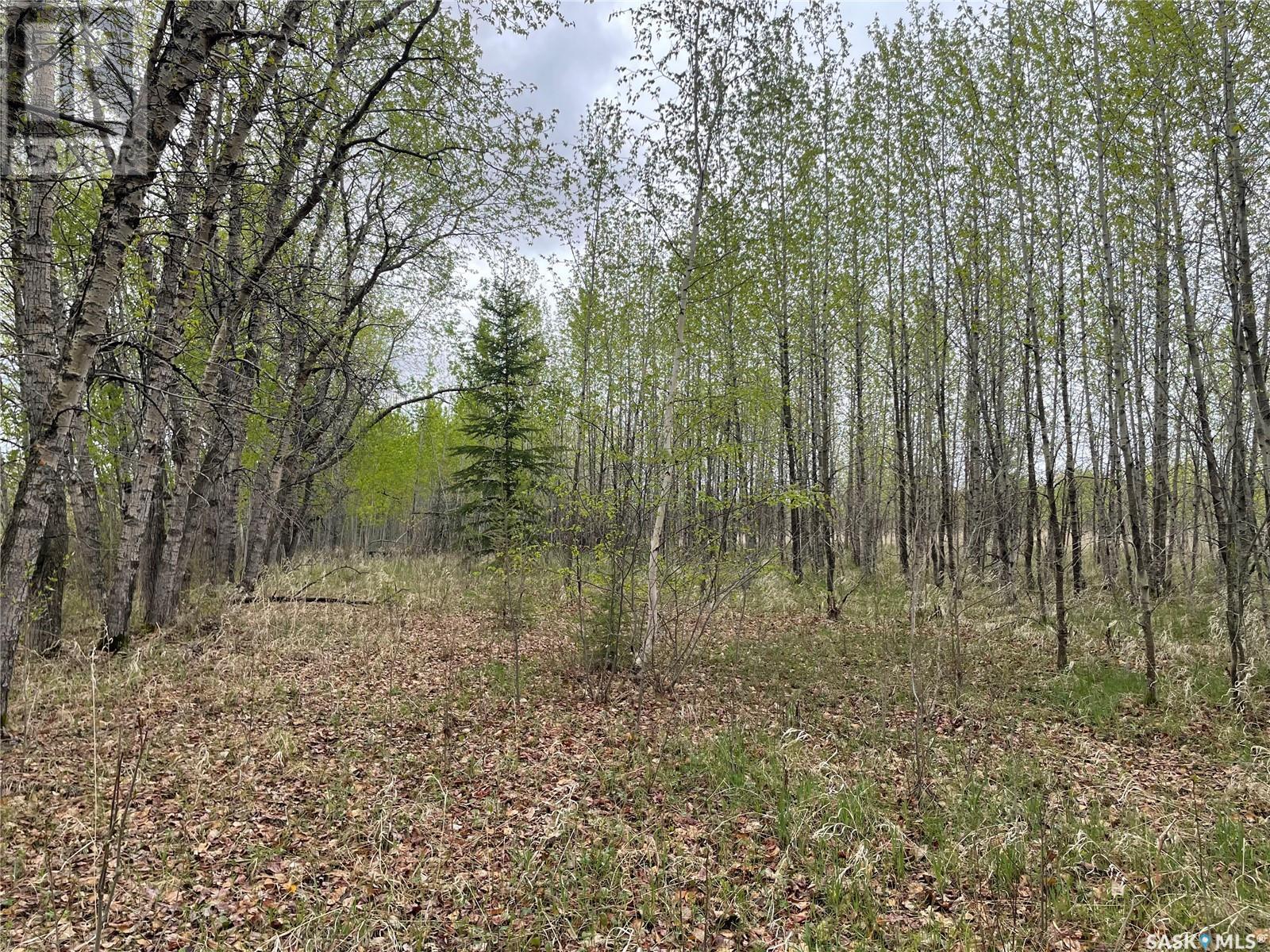 Photo 2 of 5 5 Km South Of Dorintosh Lot 4, Meadow Lake Rm No 588 SK