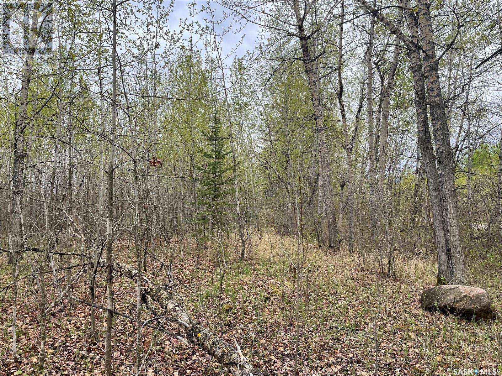 Photo 3 of 5 5 Km South Of Dorintosh Lot 4, Meadow Lake Rm No 588 SK