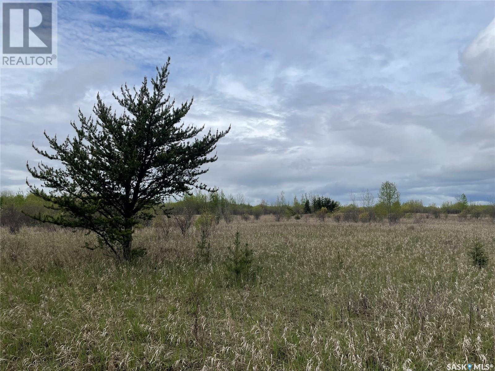 Photo 4 of 5 5 Km South Of Dorintosh Lot 3, Meadow Lake Rm No 588 SK