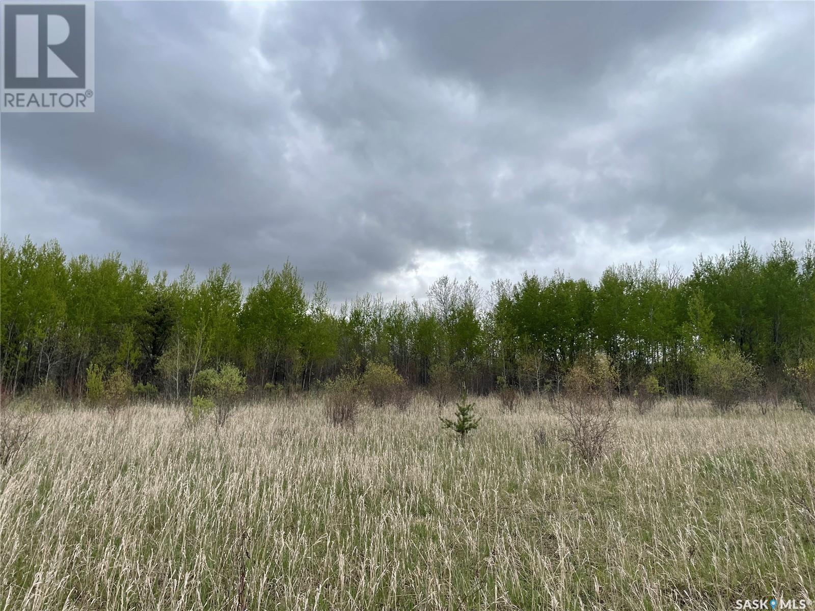Photo 5 of 5 5 Km South Of Dorintosh Lot 3, Meadow Lake Rm No 588 SK