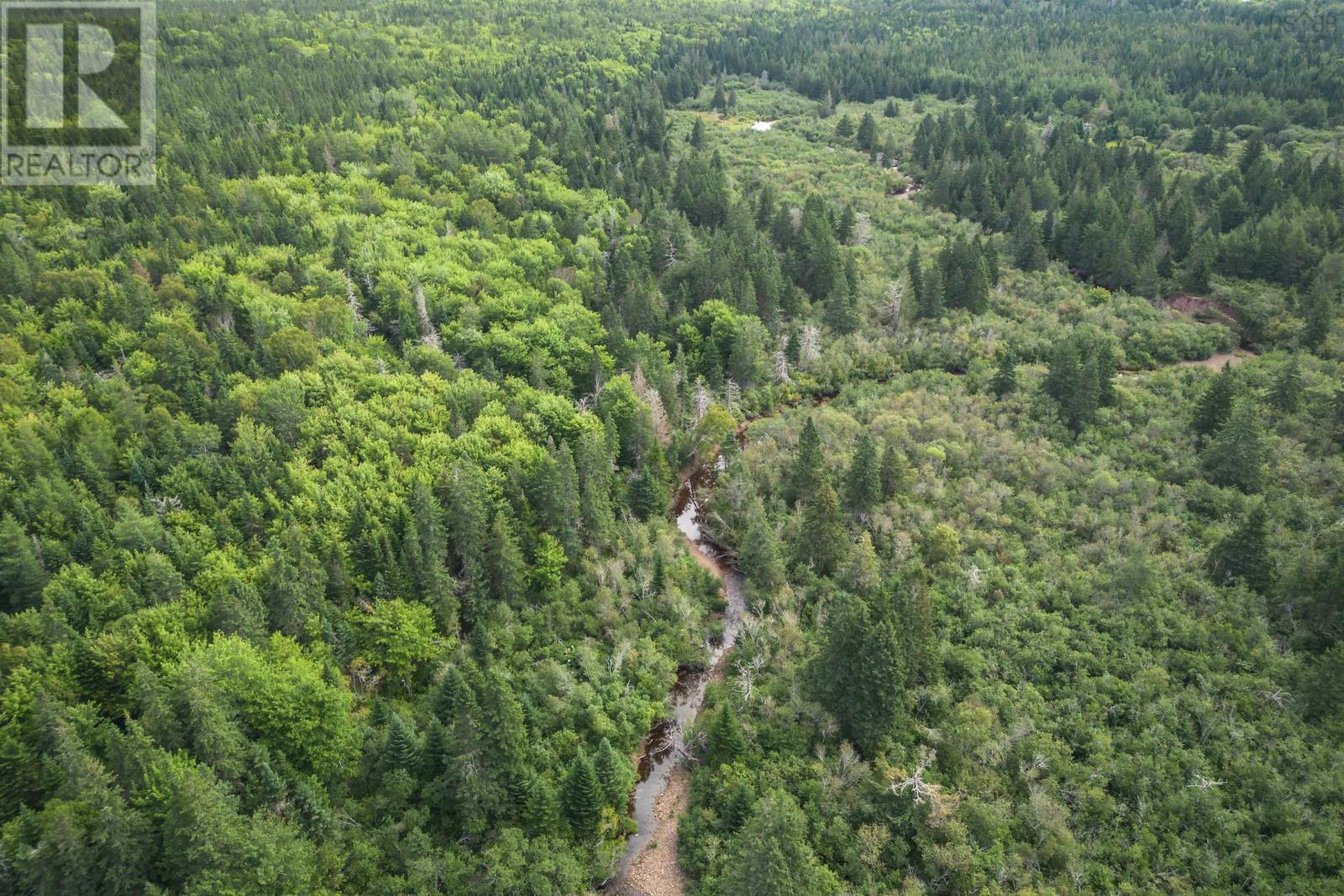 Property photo of 81 Balmoral Road