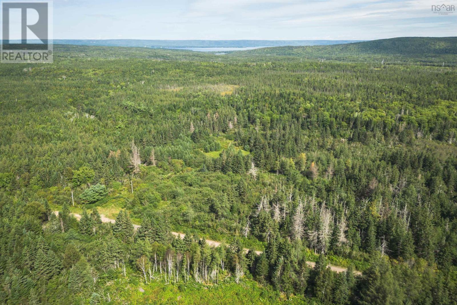 Property 26 of 32 of 81 Balmoral Road