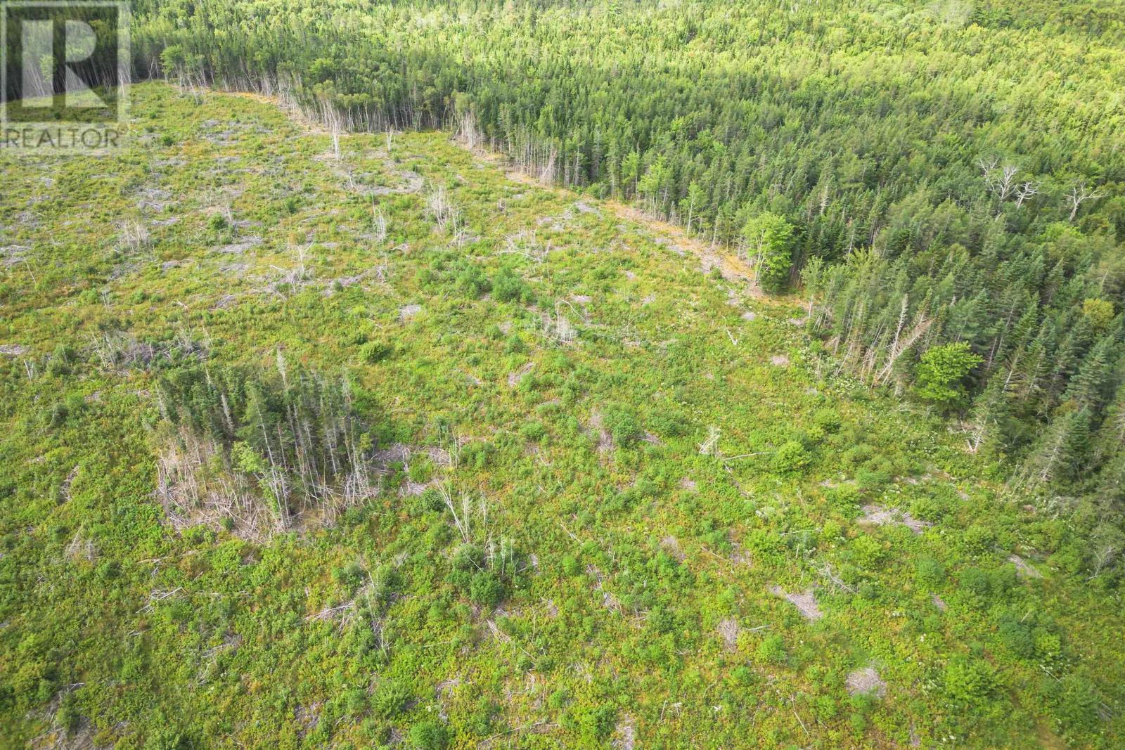 Property 19 of 32 of 81 Balmoral Road