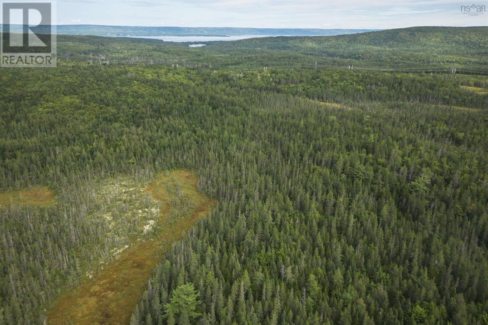 Property 15 of 32 of 81 Balmoral Road