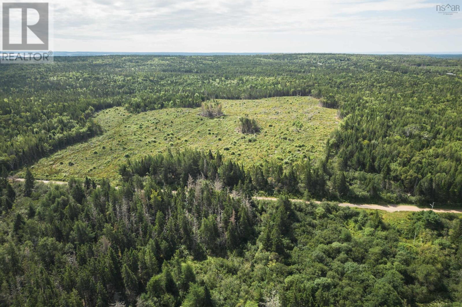 Property 25 of 32 of 81 Balmoral Road