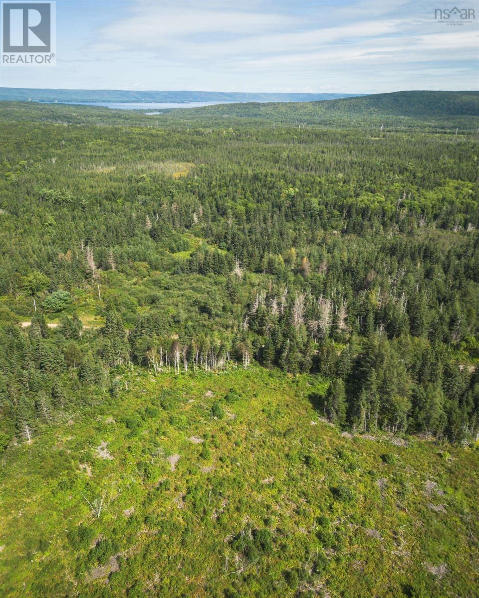 Property 27 of 32 of 81 Balmoral Road