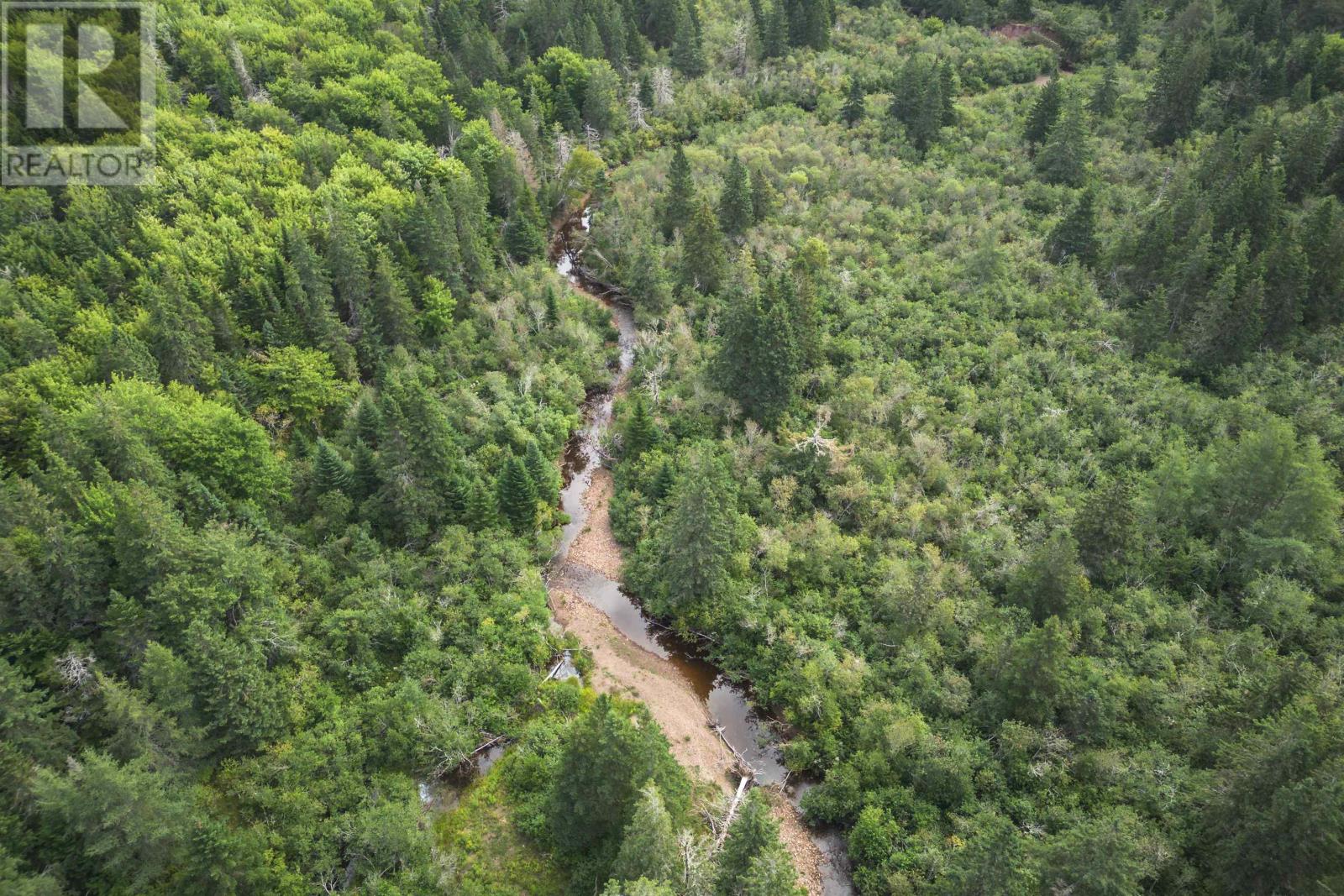 Property 22 of 32 of 81 Balmoral Road