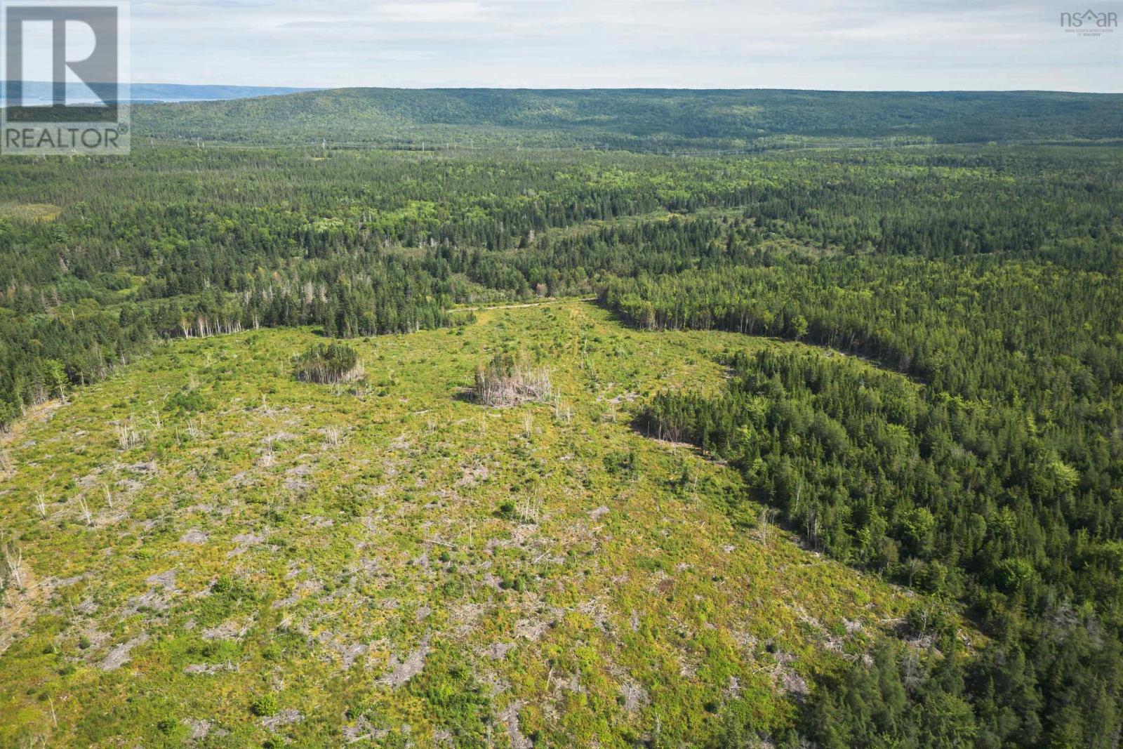 Property 28 of 32 of 81 Balmoral Road