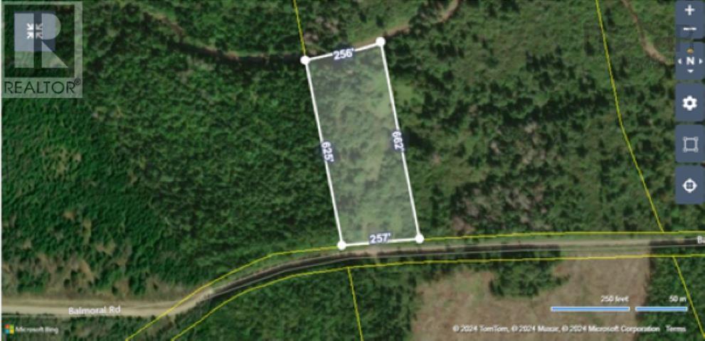 Property 31 of 32 of 81 Balmoral Road