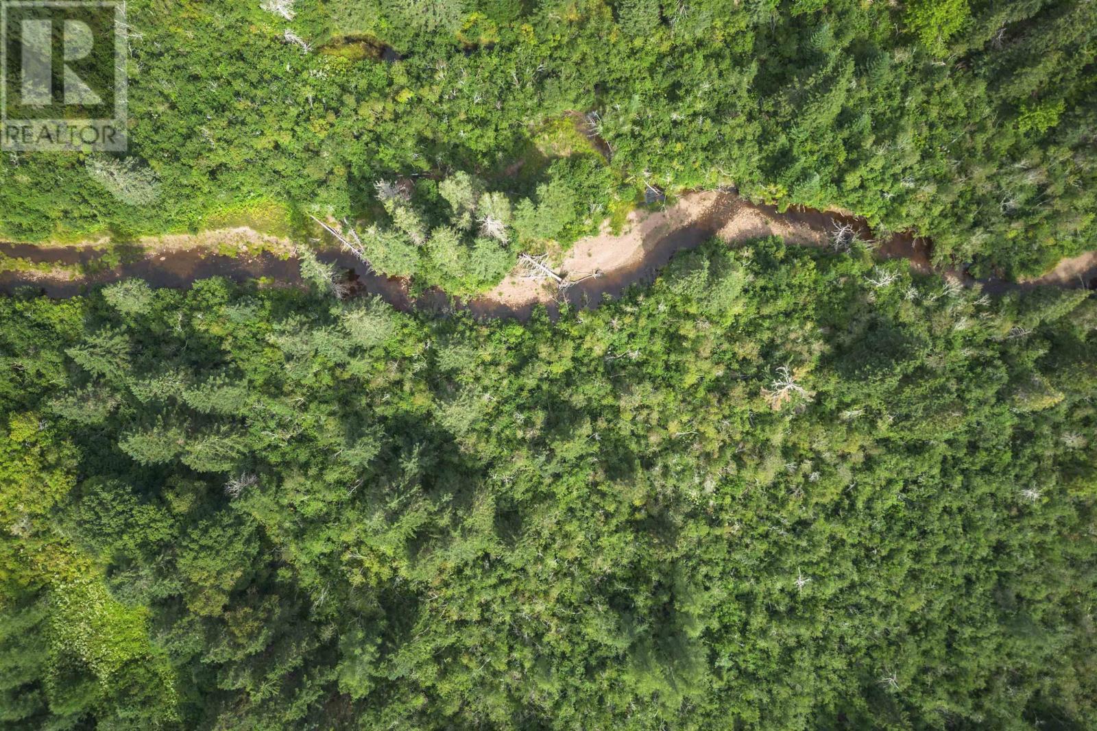 Property 5 of 32 of 81 Balmoral Road