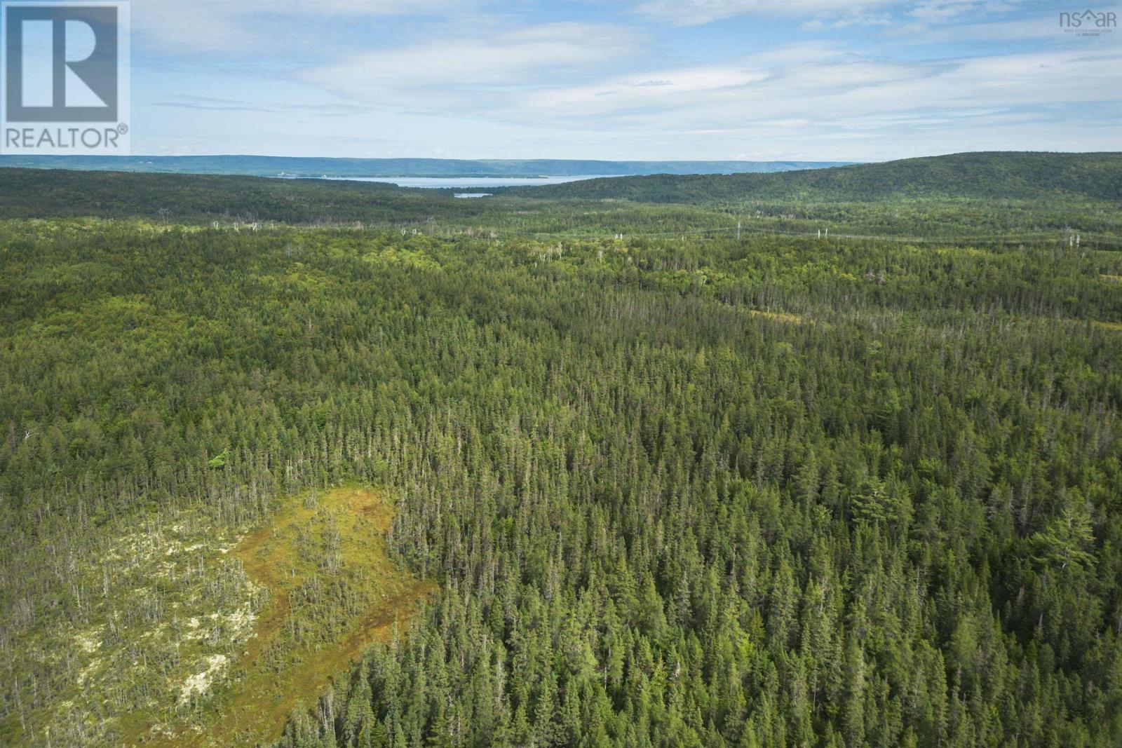 Property 8 of 32 of 81 Balmoral Road