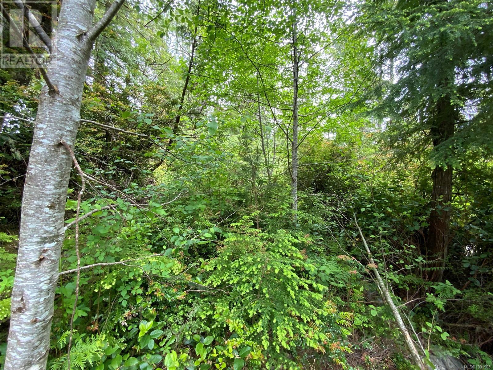 LOT 10 Rainforest Lane, Ucluelet