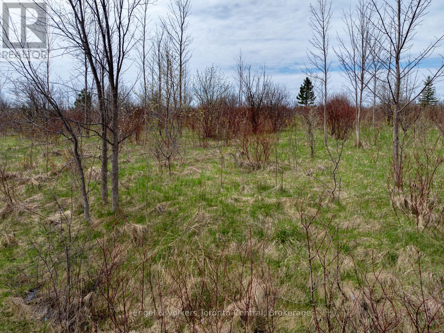 Photo 9 of 110 Dinsmore Street, Meaford ON