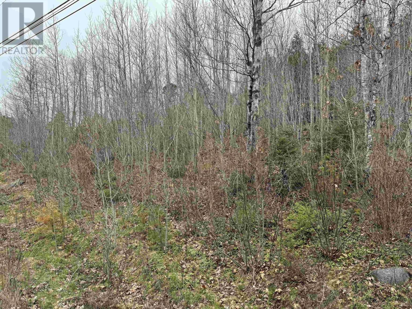 Property 4 of 6 of Lot 5 Highway 10