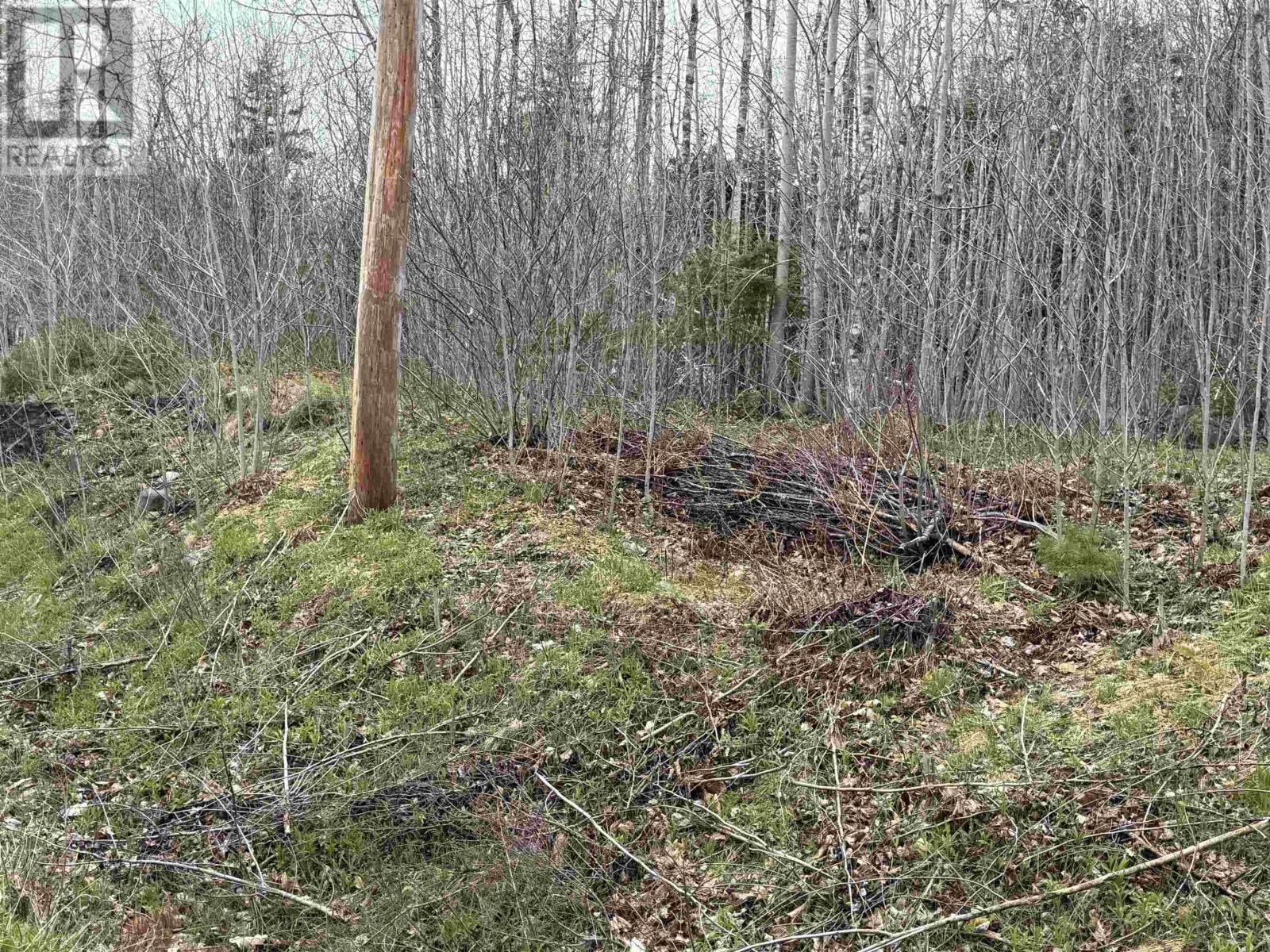 Property 2 of 6 of Lot 5 Highway 10