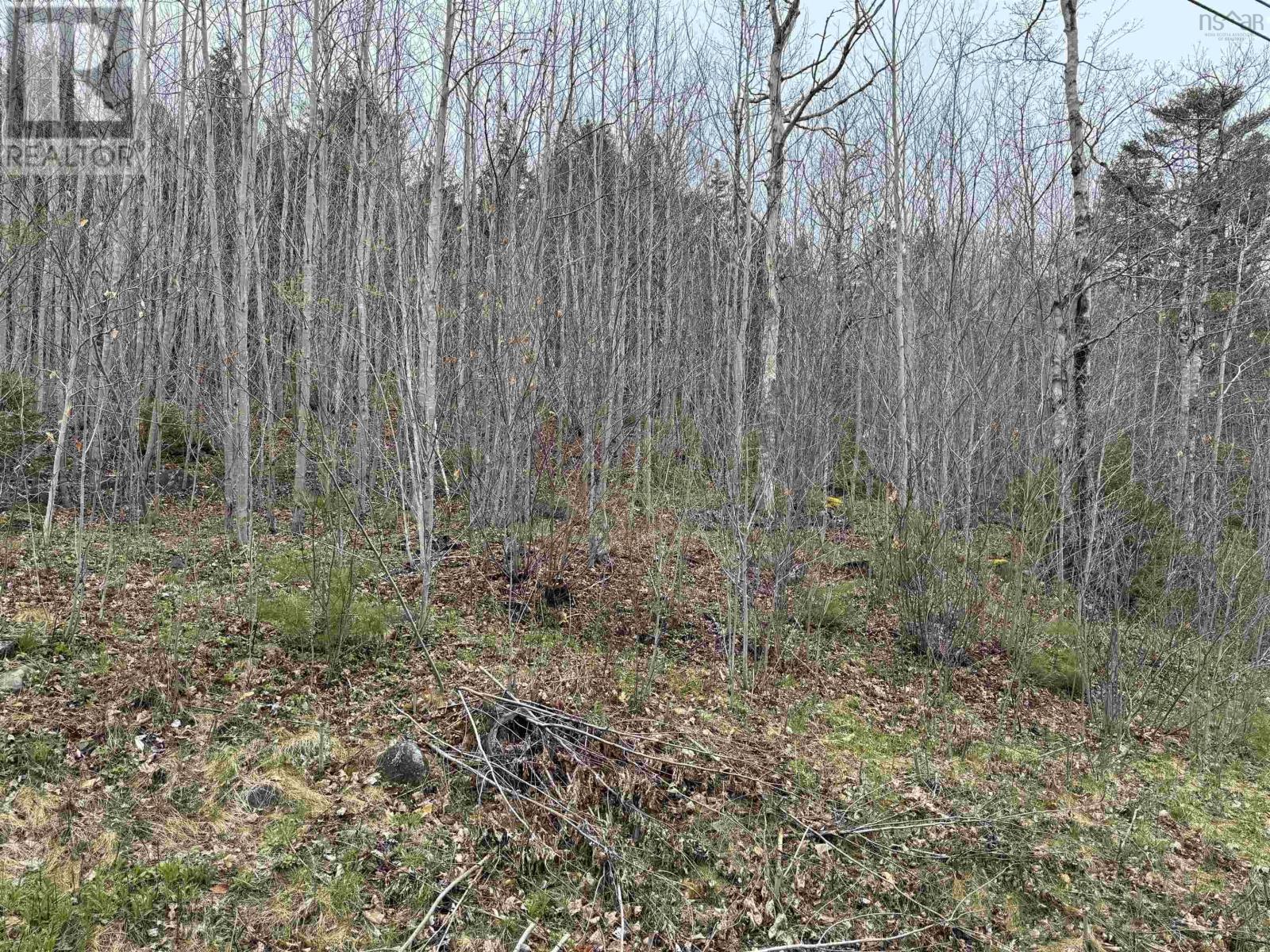 Property 3 of 6 of Lot 5 Highway 10