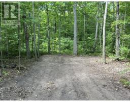N/a Monument Road, Spring Bay, ON P0P2N0 Photo 10