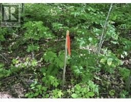 N/a Monument Road, Spring Bay, ON P0P2N0 Photo 11