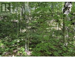 N/a Monument Road, Spring Bay, ON P0P2N0 Photo 13