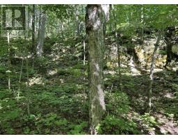 N/a Monument Road, Spring Bay, ON P0P2N0 Photo 14