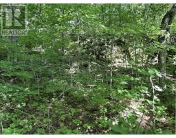 N/a Monument Road, Spring Bay, ON P0P2N0 Photo 15